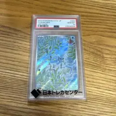 2026年最新】ウデッポウ ar psa10の人気アイテム - メルカリ