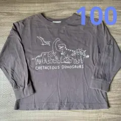 b.ROOM 恐竜 長袖カットソー 100 チャコールグレー