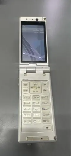 概ね美品 docomo P-01A VIERA ワンセグ視聴可能 h01d462 - メルカリ