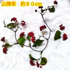 ジンちゃん様 リクエスト 2点 まとめ商品