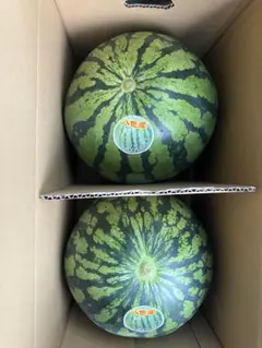 新潟県八色産 西瓜 秀3Lサイズ 2玉入 上村農園 約8kg× 2 玉入1箱