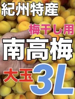2026年最新】梅干し用梅 10kgの人気アイテム - メルカリ