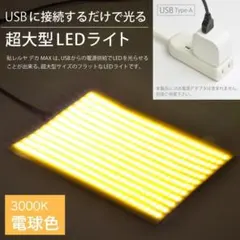 【定価4280円】JTT LEDライト 超大型ハレルヤ デカMAX3000ルクス