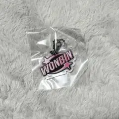 RIIZE ウォンビン ランダムトイ　LUCKY キーホルダー　ポップアップ