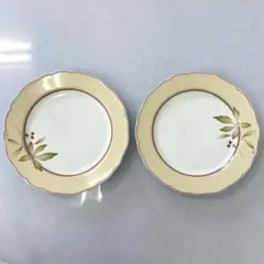 【TK】美品✨Hutschenreuther フッチェンロイター　2組セットのサムネイル