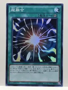 ホワイトラビット様 リクエスト 2点 まとめ商品