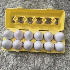 マッチングエッグ12個/ケース付　MATCHING EGGS モンテッソーリのサムネイル