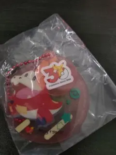 ポケモン チャームコレクション ホゲータ