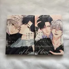 愛の温度を教えてよ・愛の温度でとかしたい　２冊セット
