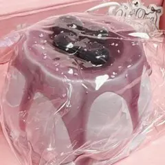 106)スクイーズ　Wenging strong 文清 プリン　ブルーベリー