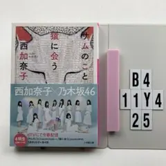 サムのこと 猿に会う B4-11Y425