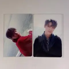 セブチ　ディノ　トレカ