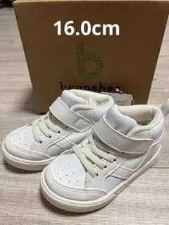 Item thumbnail for item 1eb9e825-6cf4-4488-b87b-0c664223ee31