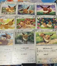 ポケモンカード　イーブイセット