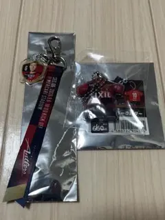 鹿島アントラーズ 26/27 グッズセット 三竿健斗