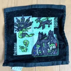 ポケモン ZA ジガルデ ハンドタオル ハンカチ