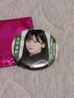 すっちー様 リクエスト 2点 まとめ商品