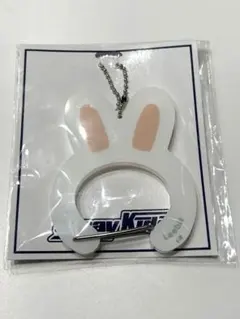 Straykids スキズ リノ リービット カラビナキーホルダー