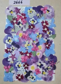 押し花素材2666染色含む