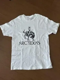 2025年最新】arc texasの人気アイテム - メルカリ