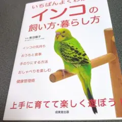 いちばんよくわかる!インコの飼い方・暮らし方
