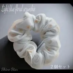 Item thumbnail for item 6b0fb871-e904-48a8-b766-634b408d673d