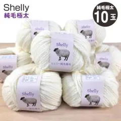 シェリー 純毛極太 ウール100％【元廣】col.3001（生成）－10玉