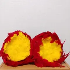 2025年最新】ウリウリ フラダンスの人気アイテム - メルカリ