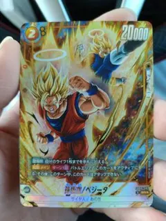 孫悟空/ベジータ パラ SR★