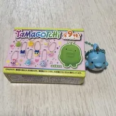 Tamagotchi いるかっち　マスコット　チョコボックス