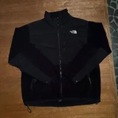THE NORTH FACE デナリジャケット フリース ポーラテック 古着