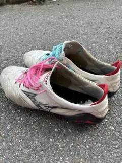 Mizuno morerianeo3