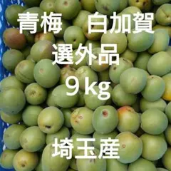 鶯宿 青梅 大中小混合 8kg 無農薬 岡山県産 農家直送 - メルカリ