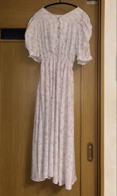 Item thumbnail for item 192d39f8-a738-4189-aac8-f070fd90f41a