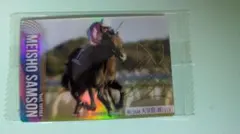 サラブレッドホースコレクション 天皇賞　秋