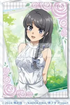 2025年最新】桜島麻衣 タペストリーの人気アイテム - メルカリ