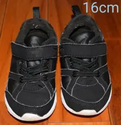 Item thumbnail for item 80884c09-aa1b-4cad-8301-df2002399031