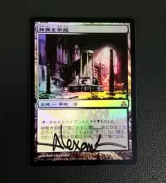 2025年最新】神無き祭殿の人気アイテム - メルカリ