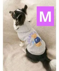 ジェラートピケ「CAT＆DOG」スポーティーベア 裏毛 プルオーバー グレー M