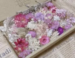 たっぷり かわいいセット① ドライフラワー 花材