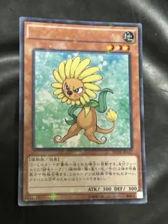 ダンディライオン