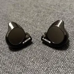 美品】SONY IER-Z1R + オマケ(MUC-M12SB2) - メルカリ