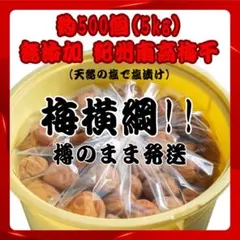 ◆人気爆発！紀州南高梅 樽 5kg 梅 無添加 和歌山 紀州 白梅 0505