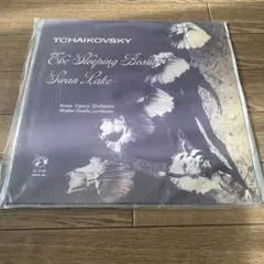 2026年最新】Tchaikovsky: Swan Lake/Sleepinの人気アイテム - メルカリ