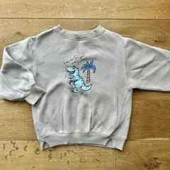 男女兼用　pairmanon 恐竜柄裏起毛スウェット119