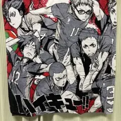 ハイキュー バスタオル 烏野