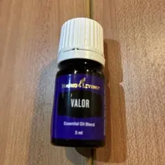 2026年最新】ヤングリビングの人気アイテム - メルカリ