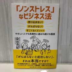 「ノンストレス」なビジネス法　売り込まない！　がんばらない！【即購入OK】