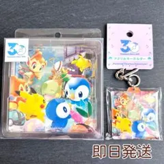 ポケモン 30周年 アクリルブロック アクリルキーホルダー - メルカリ