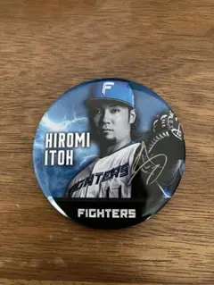 ファイターズ 伊藤大海選手だらけ　缶バッジ